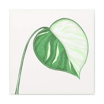Monstera Albo Canvas Print – Botanical Wall Art