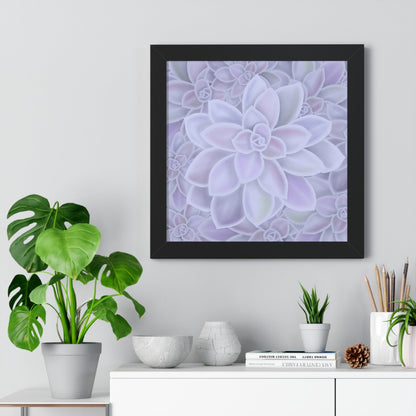 Graptopetalum Murasaki Succulent Pattern Framed Print – Botanical Wall Art