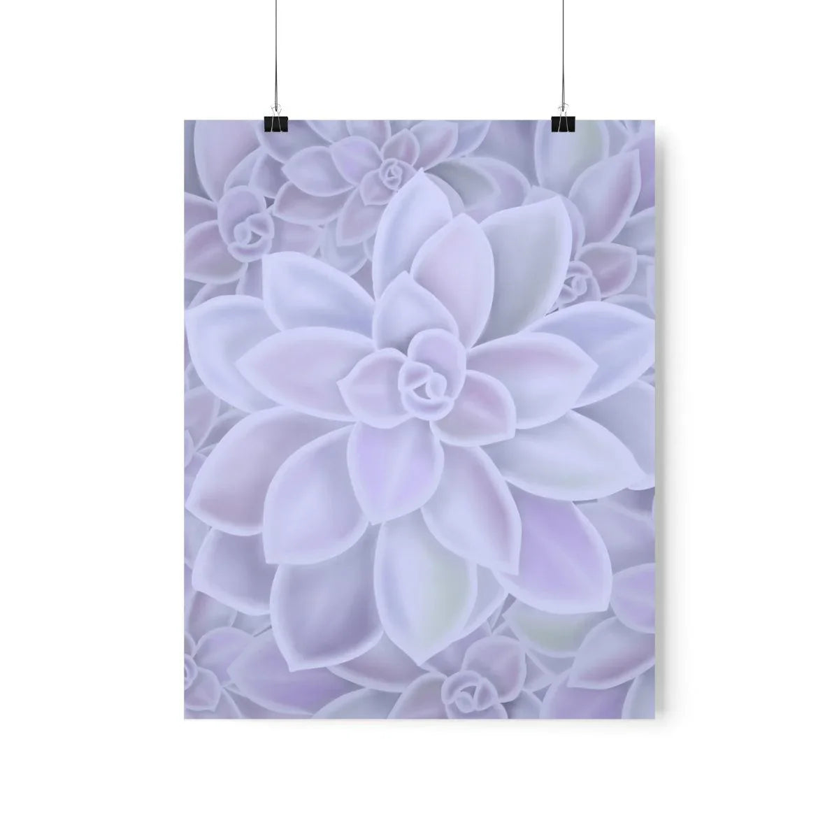 Graptopetalum Murasaki Succulent Pattern Botanical Print – Unframed Wall Art
