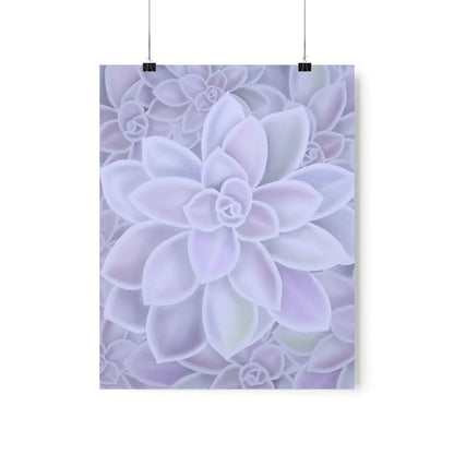 Graptopetalum Murasaki Succulent Pattern Botanical Print – Unframed Wall Art