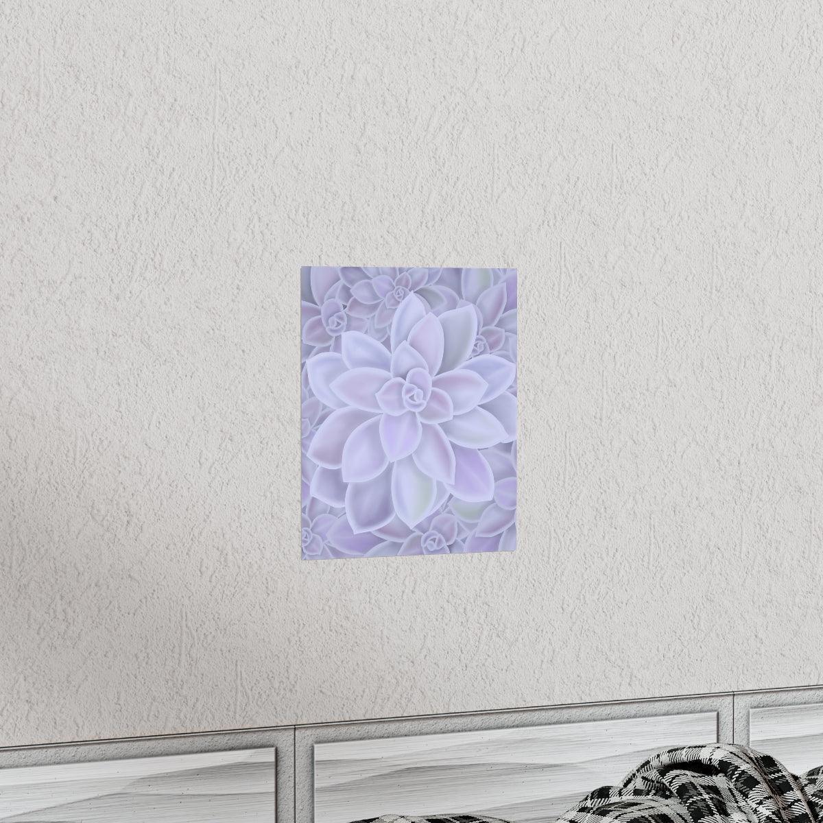 Graptopetalum Murasaki Succulent Pattern Botanical Print – Unframed Wall Art