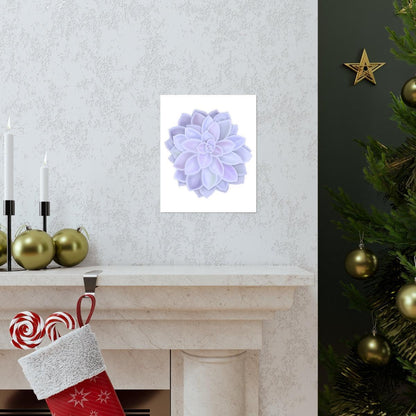 Graptopetalum Murasaki Succulent Botanical Print – Unframed Wall Art