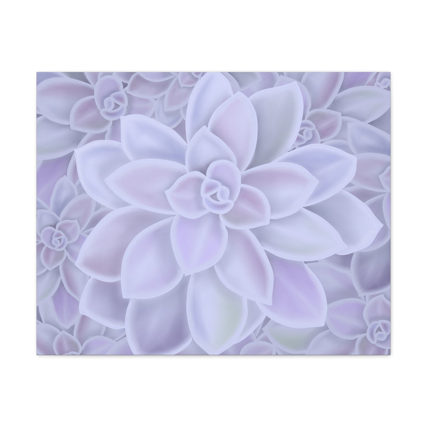 Graptopetalum Murasaki Succulent Pattern Canvas Print – Botanical Wall Art