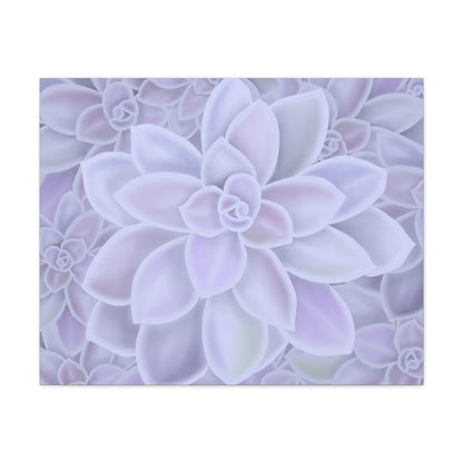 Graptopetalum Murasaki Succulent Pattern Canvas Print – Botanical Wall Art