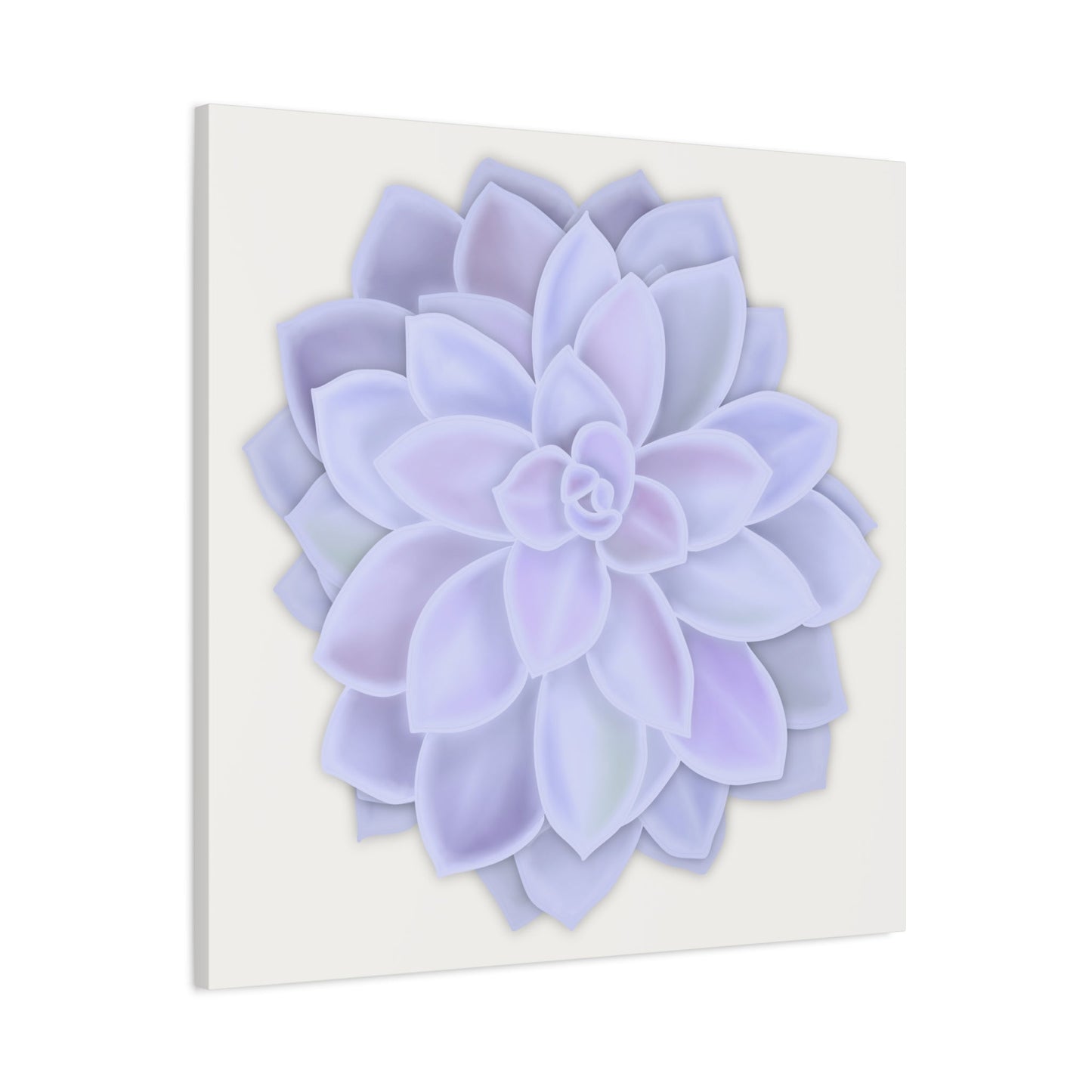 Graptopetalum Murasaki Succulent Canvas Print – Botanical Wall Art