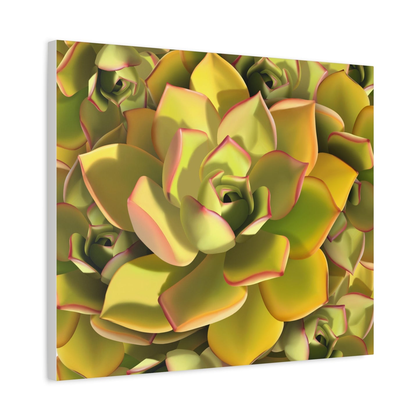 Noble Aeonium Succulent Pattern Canvas Print – Botanical Wall Art