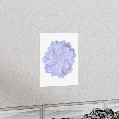 Graptopetalum Murasaki Succulent Botanical Print – Unframed Wall Art