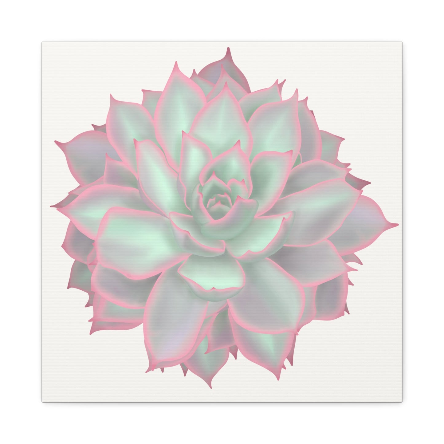 Echeveria Violet Queen Succulent Canvas Print – Botanical Wall Art