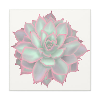 Echeveria Violet Queen Succulent Canvas Print – Botanical Wall Art
