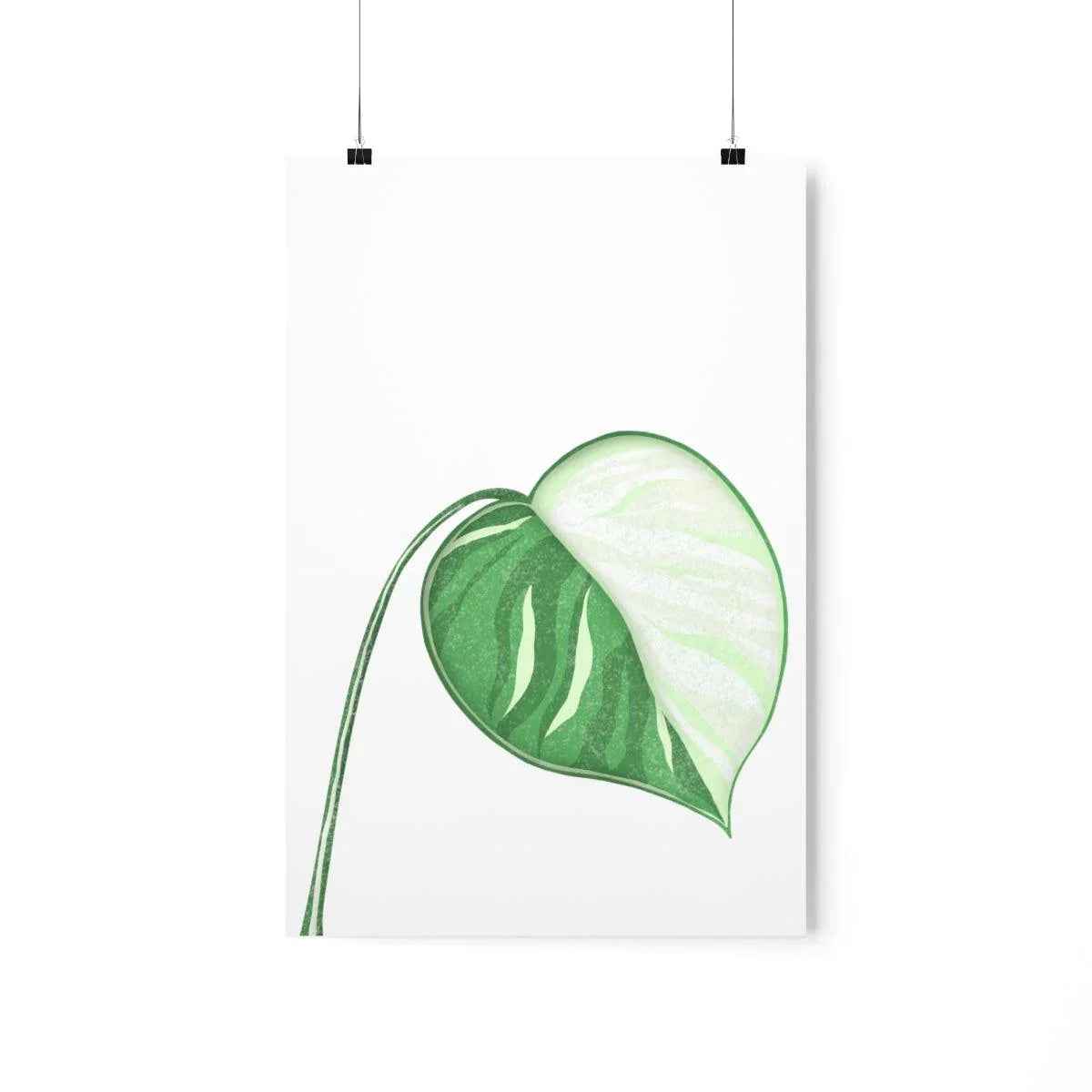 Monstera Albo Botanical Print – Unframed Wall Art