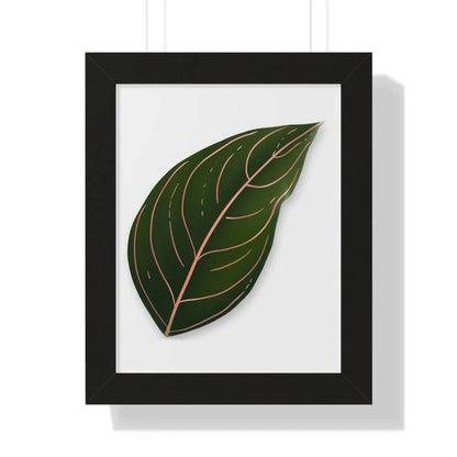Aglaonema Rotundum Framed Print – Botanical Wall Art