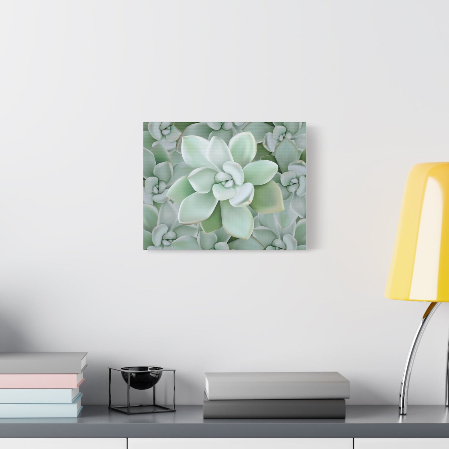 Pachyveria Haagei Succulent Pattern Canvas Print – Botanical Wall Art