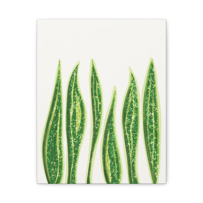 Snake Plant Canvas Print – Botanical Wall Art