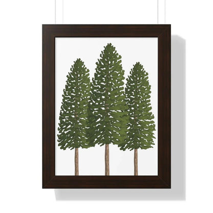Ponderosa Pine Framed Print – Wall Art