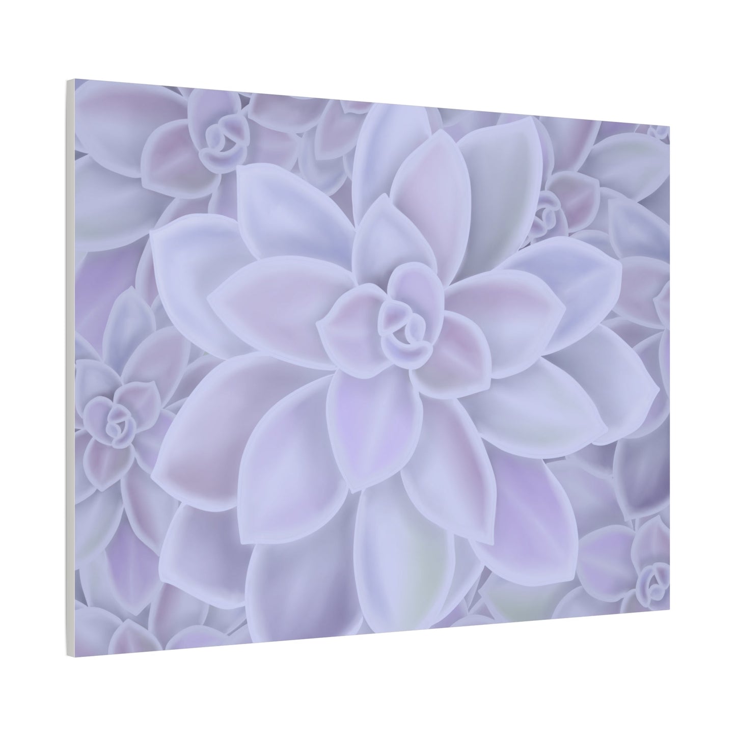 Graptopetalum Murasaki Succulent Pattern Canvas Print – Botanical Wall Art