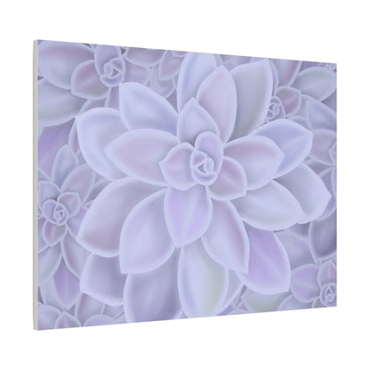 Graptopetalum Murasaki Succulent Pattern Canvas Print – Botanical Wall Art