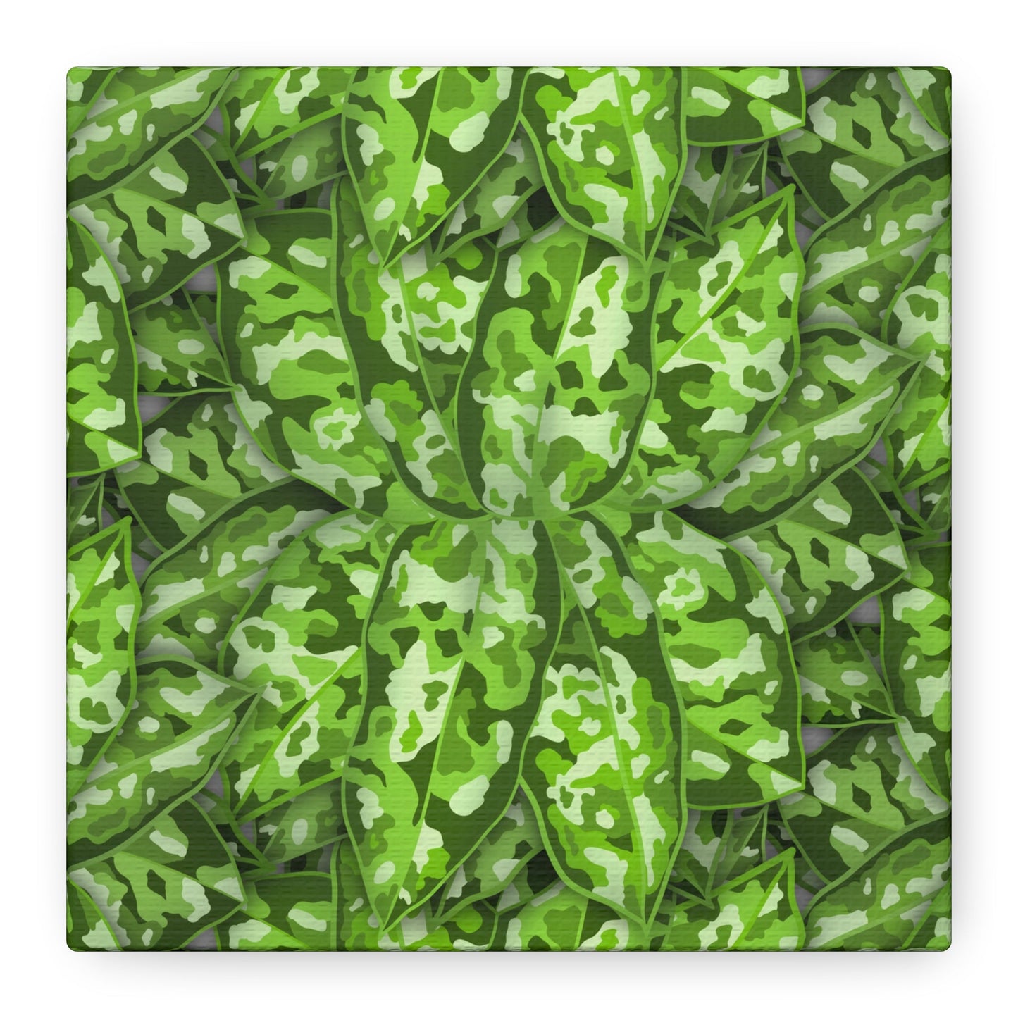 Aglaonema Pictum Canvas Print – Botanical Wall Art
