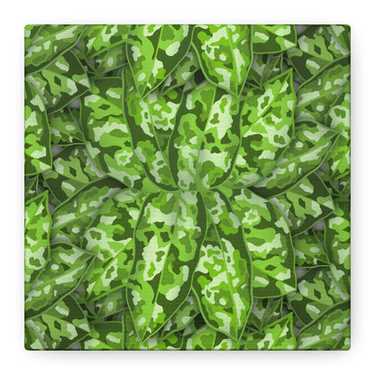 Aglaonema Pictum Canvas Print – Botanical Wall Art