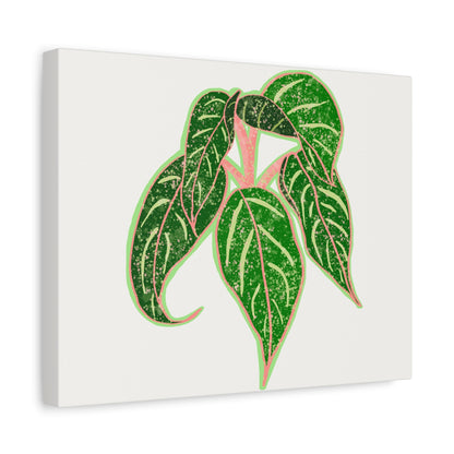 Aglaonema Sparkling Sarah Canvas Print – Botanical Wall Art