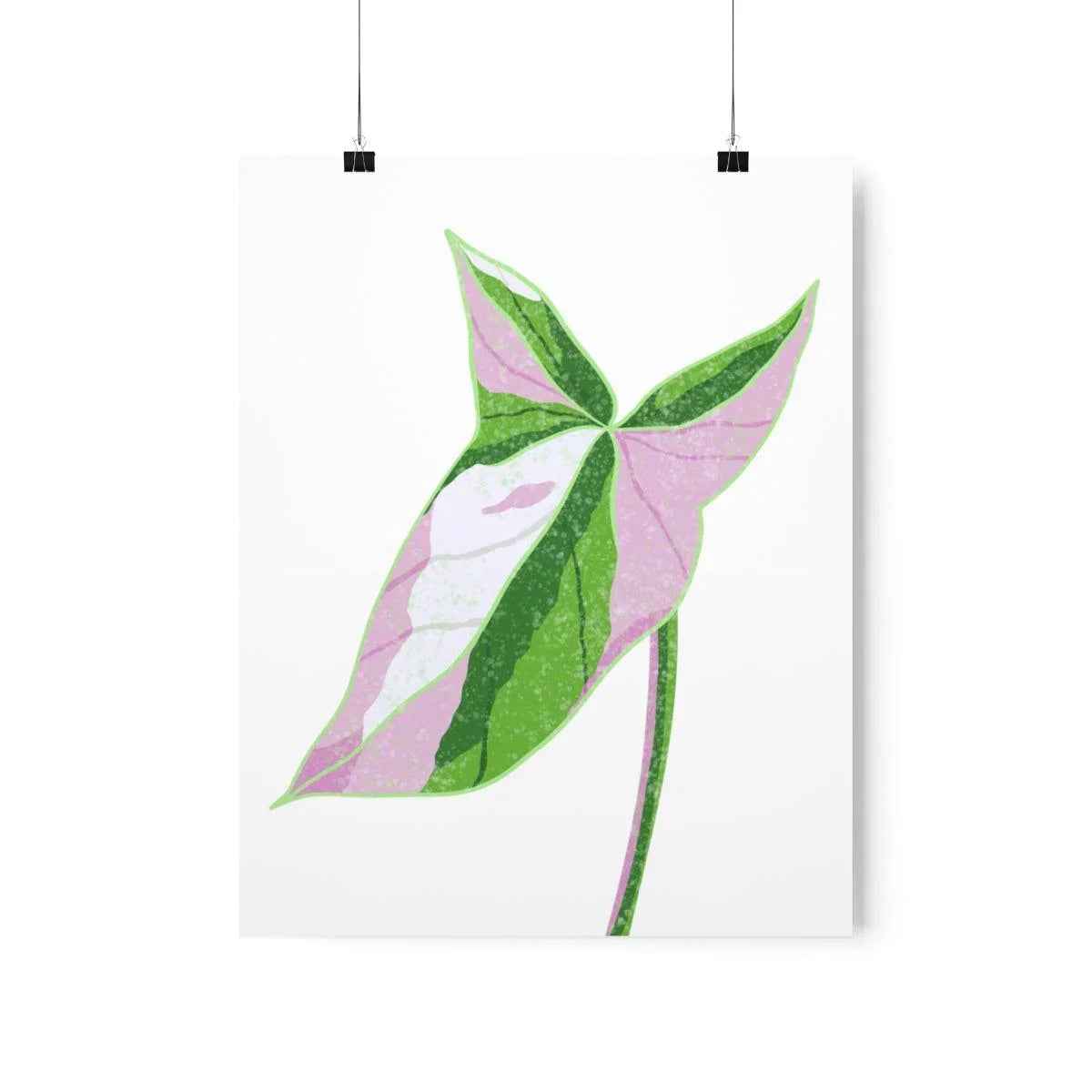 Syngonium Tricolor Botanical Print – Unframed Wall Art