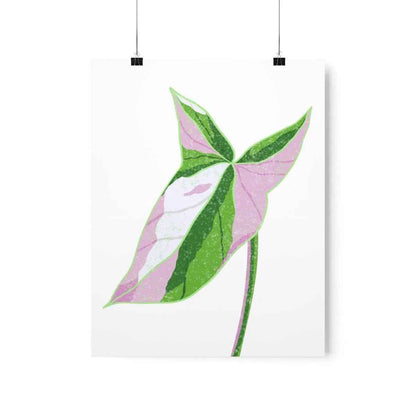 Syngonium Tricolor Botanical Print – Unframed Wall Art