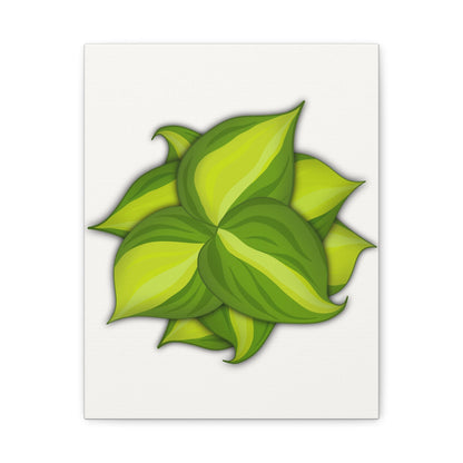 Philodendron Brasil Canvas Print – Botanical Wall Art
