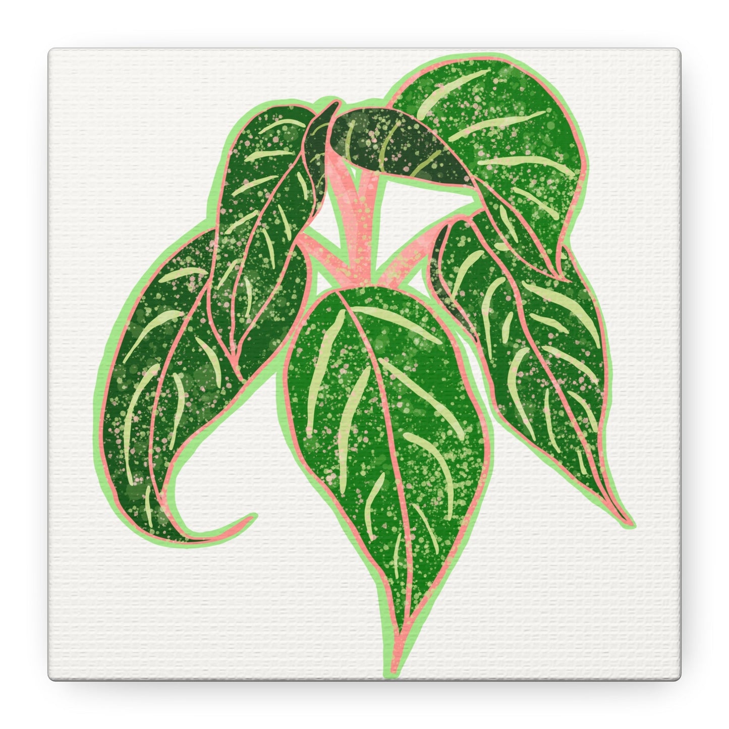 Aglaonema Sparkling Sarah Canvas Print – Botanical Wall Art