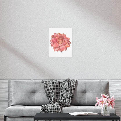 Graptosedum California Sunset Succulent Botanical Print – Unframed Wall Art