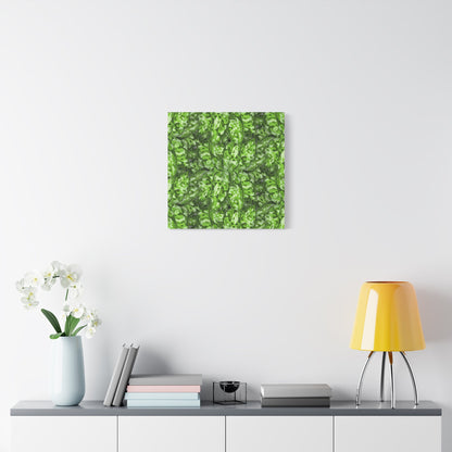 Aglaonema Pictum Canvas Print – Botanical Wall Art
