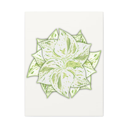 Snow Queen Pothos Canvas Print – Botanical Wall Art