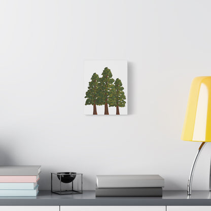 Coastal Redwood Canvas Print – Wall Art