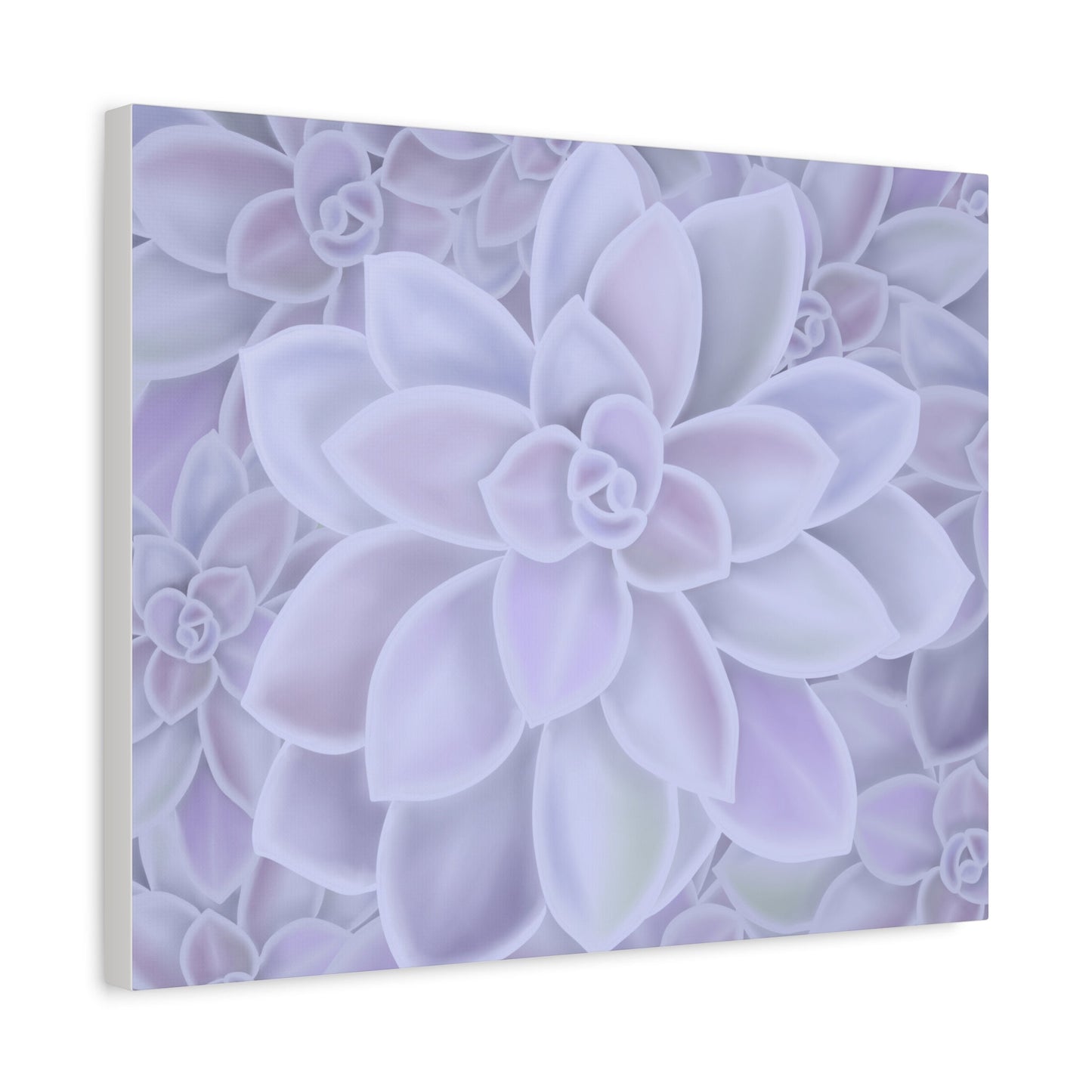 Graptopetalum Murasaki Succulent Pattern Canvas Print – Botanical Wall Art
