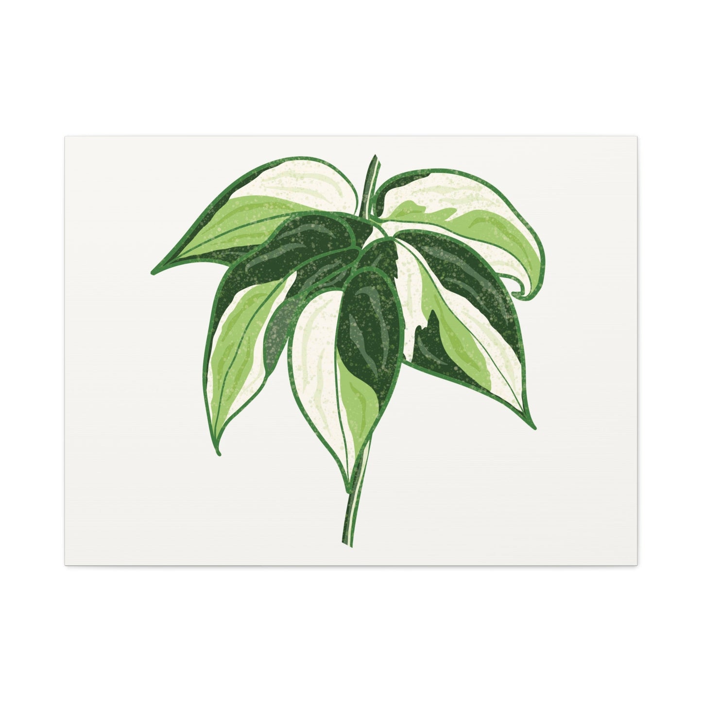 Philodendron Cream Splash Canvas Print – Botanical Wall Art