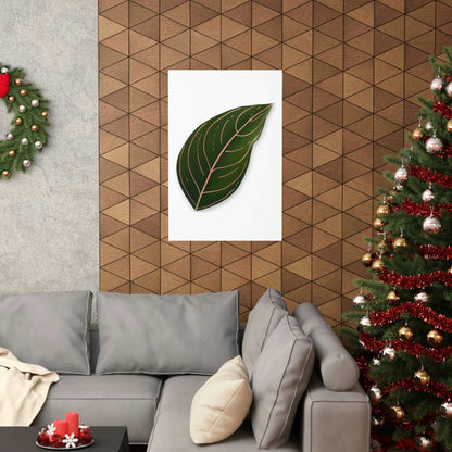 Aglaonema Rotundum Botanical Print – Unframed Wall Art