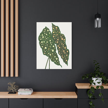 Begonia Maculata Canvas Print – Botanical Wall Art