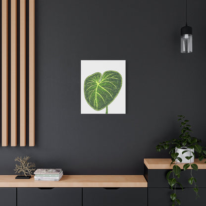 Philodendron Gloriosum Canvas Print – Botanical Wall Art