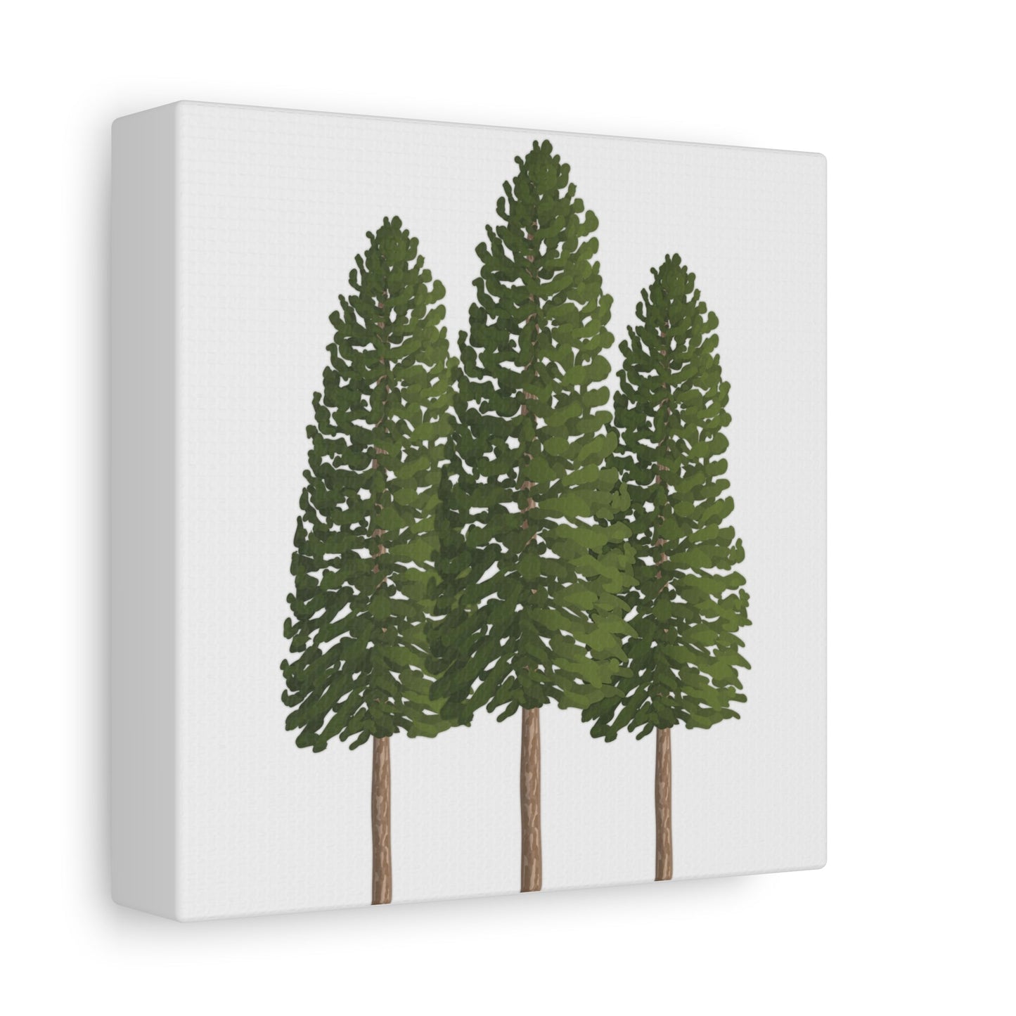 Ponderosa Pine Canvas Print – Wall Art