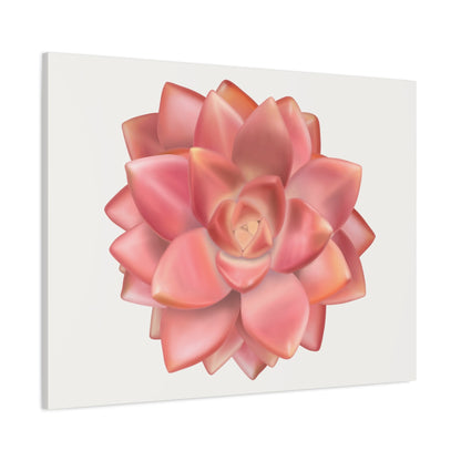 Graptosedum California Sunset Succulent Canvas Print – Botanical Wall Art