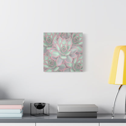 Echeveria Violet Queen Succulent Pattern Canvas Print – Botanical Wall Art