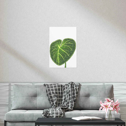Philodendron Gloriosum Botanical Print – Unframed Wall Art