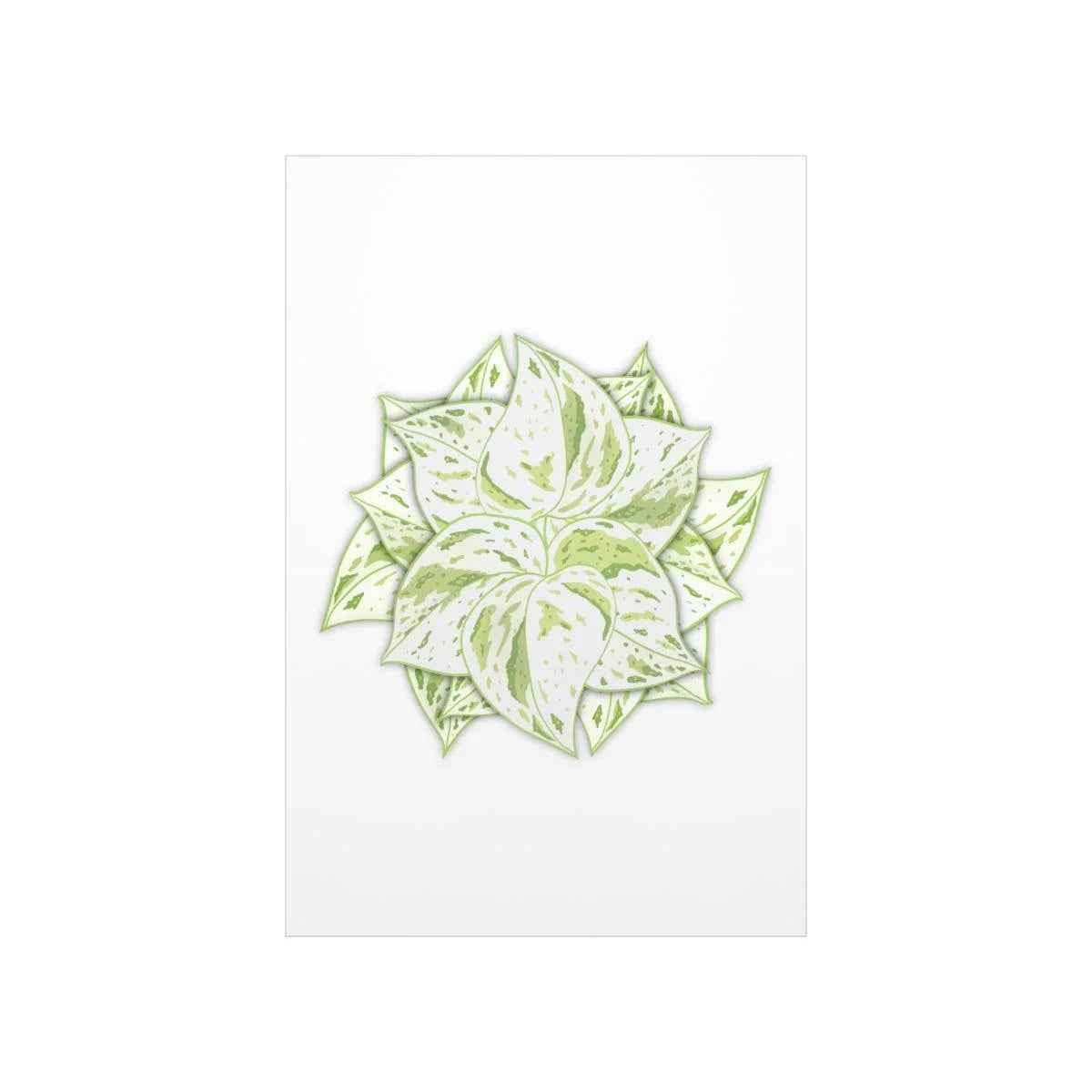 Snow Queen Pothos Botanical Print – Unframed Wall Art