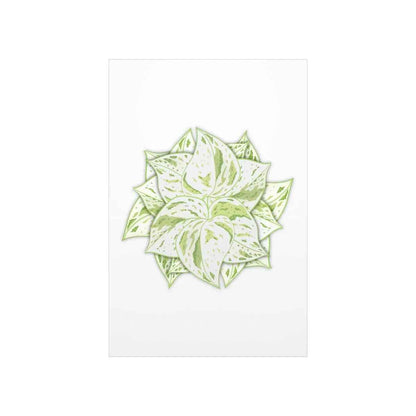 Snow Queen Pothos Botanical Print – Unframed Wall Art