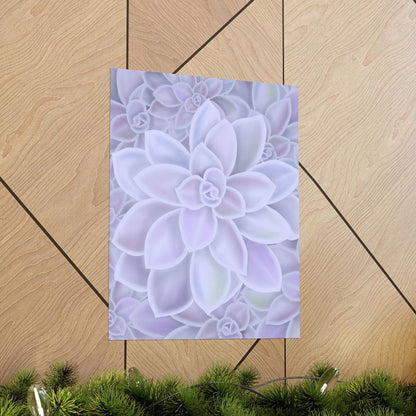 Graptopetalum Murasaki Succulent Pattern Botanical Print – Unframed Wall Art