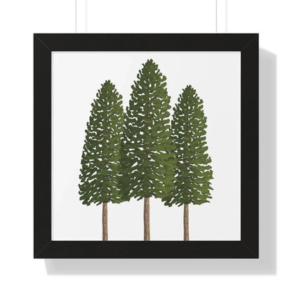 Ponderosa Pine Framed Print – Wall Art