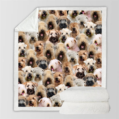 New Fashion Pet Dog Printed Flannel Blanket