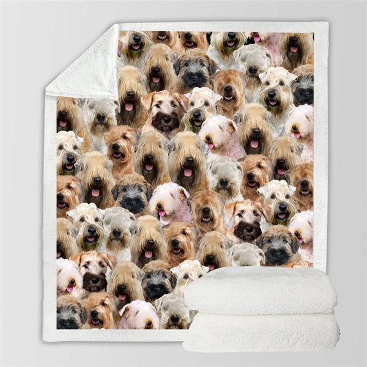 New Fashion Pet Dog Printed Flannel Blanket