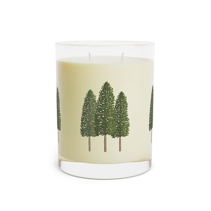 Ponderosa Pine Soy Candle 11 oz – Three Scent Options