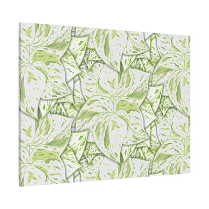 Snow Queen Pothos Pattern Canvas Print – Botanical Wall Art