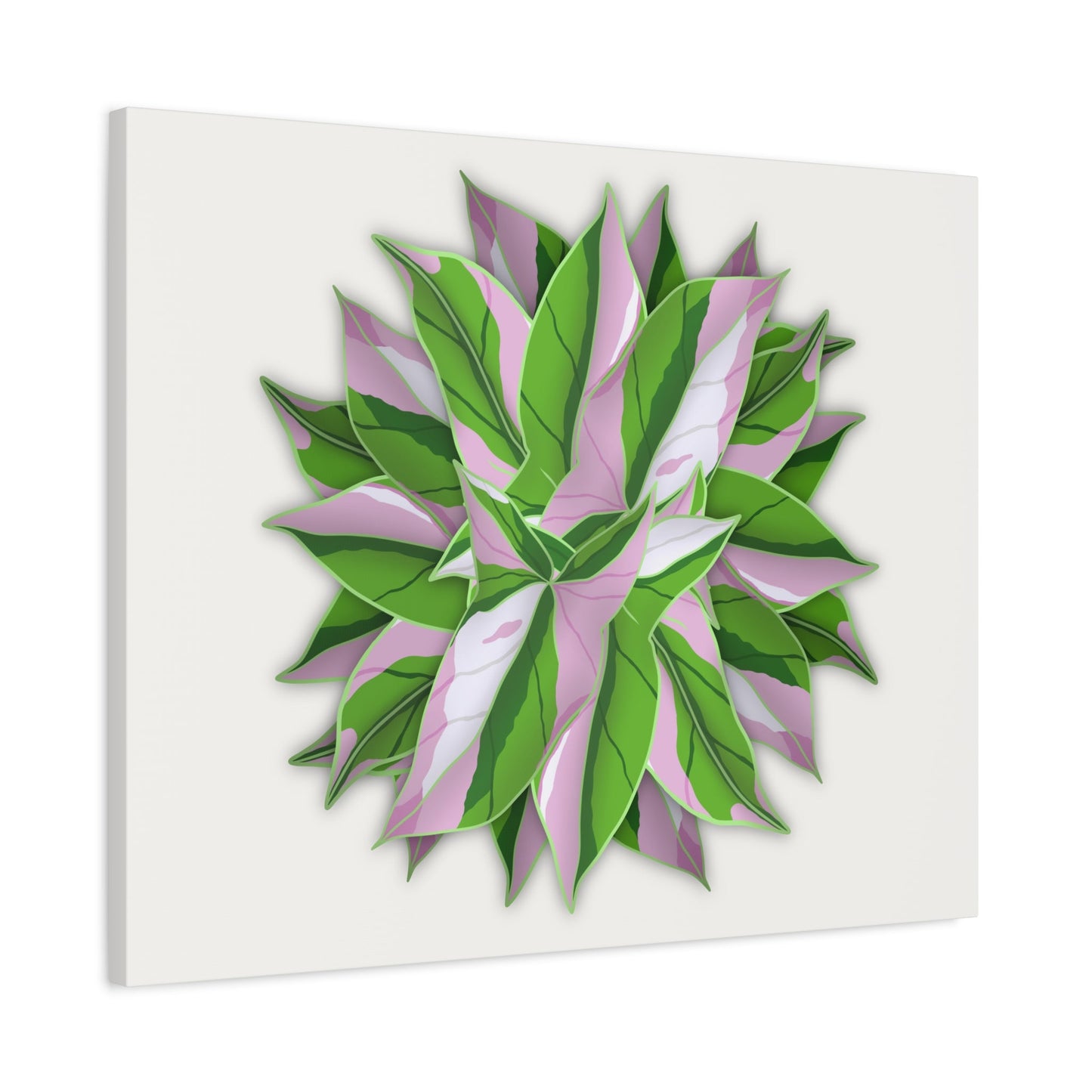 Syngonium Tricolor Pattern Canvas Print – Botanical Wall Art