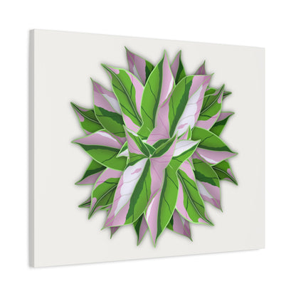 Syngonium Tricolor Pattern Canvas Print – Botanical Wall Art